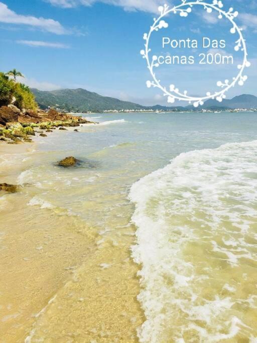 Florianópolis Apto 2 Pessoas Ponta Das Canas 200M Da Praia 아파트 외부 사진